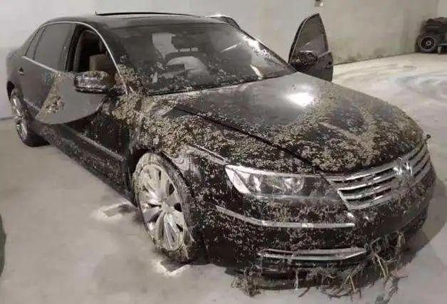 泡水车为什么不能买？原因竟然比你想的还严重……开云 开云体育
