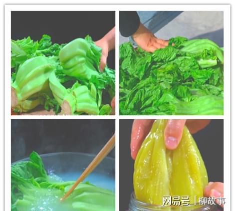 不管腌什么酸菜牢开云 开云体育APP记这4点酸菜不烂不发霉而且又酸又脆又香(图3)