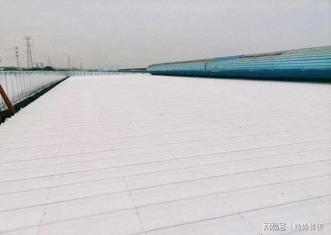 维塔斯：厂房屋顶漏水防水补漏工开云体育 开云官网程案例（1）