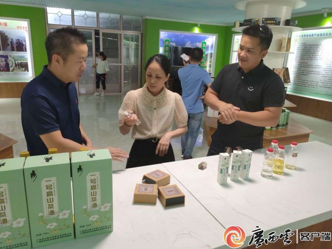 广西全力开云 开云体育官网支持民营经济和民营企业发展壮大(图3)
