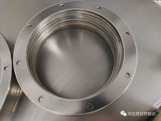 开云 开云体育平台带孔石墨复合垫RSB密封垫片河间市于乾密封材料厂(图2)