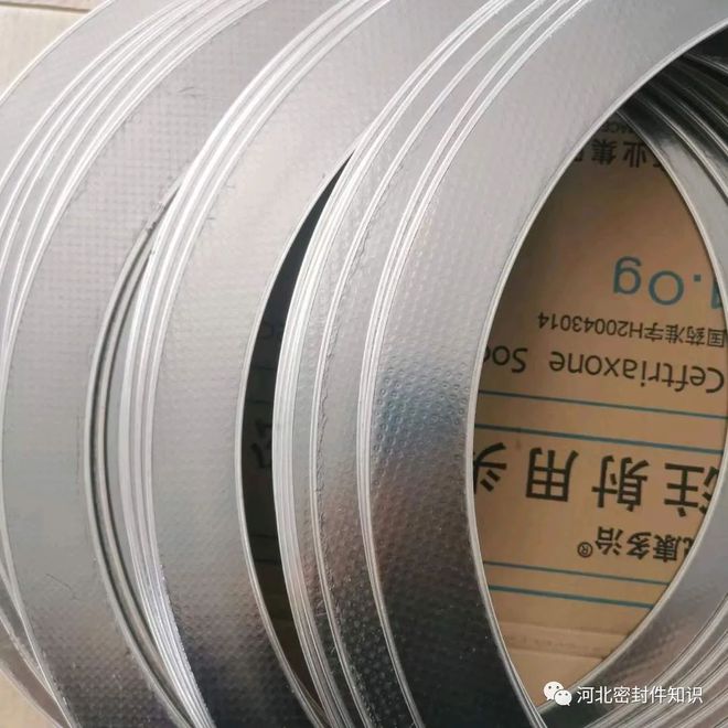 开云 开云体育平台带孔石墨复合垫RSB密封垫片河间市于乾密封材料厂