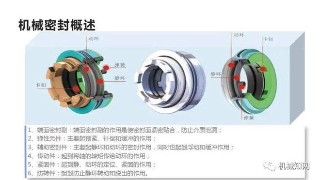 一文读懂：什开云 开云体育官网么是机械密封？(图6)