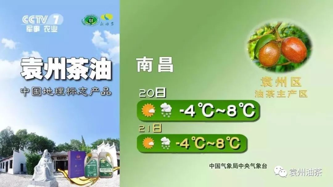 开云体育 开云平台自古为“皇家贡品”的山茶油含有塑化剂吗？食用油中塑化剂的来源和消除(图3)