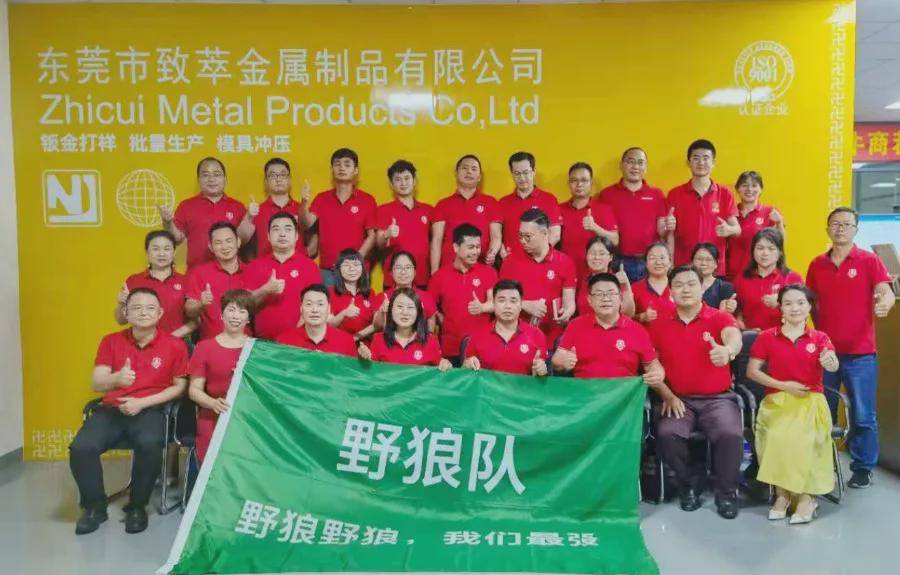 Kaiyun 开云这东莞加工制造企业全网络营销培训后建营销性网站做推广业绩涨2倍！(图9)
