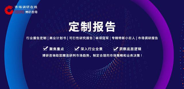 Kaiyun 开云全球及中国汽车用玻璃金属密封件行业研究及十五五规划分析报告