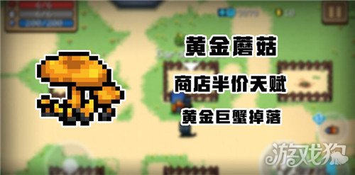 开云体育 开云官网元气骑士黄金蘑菇可再生吗 黄金蘑菇作用(图1)